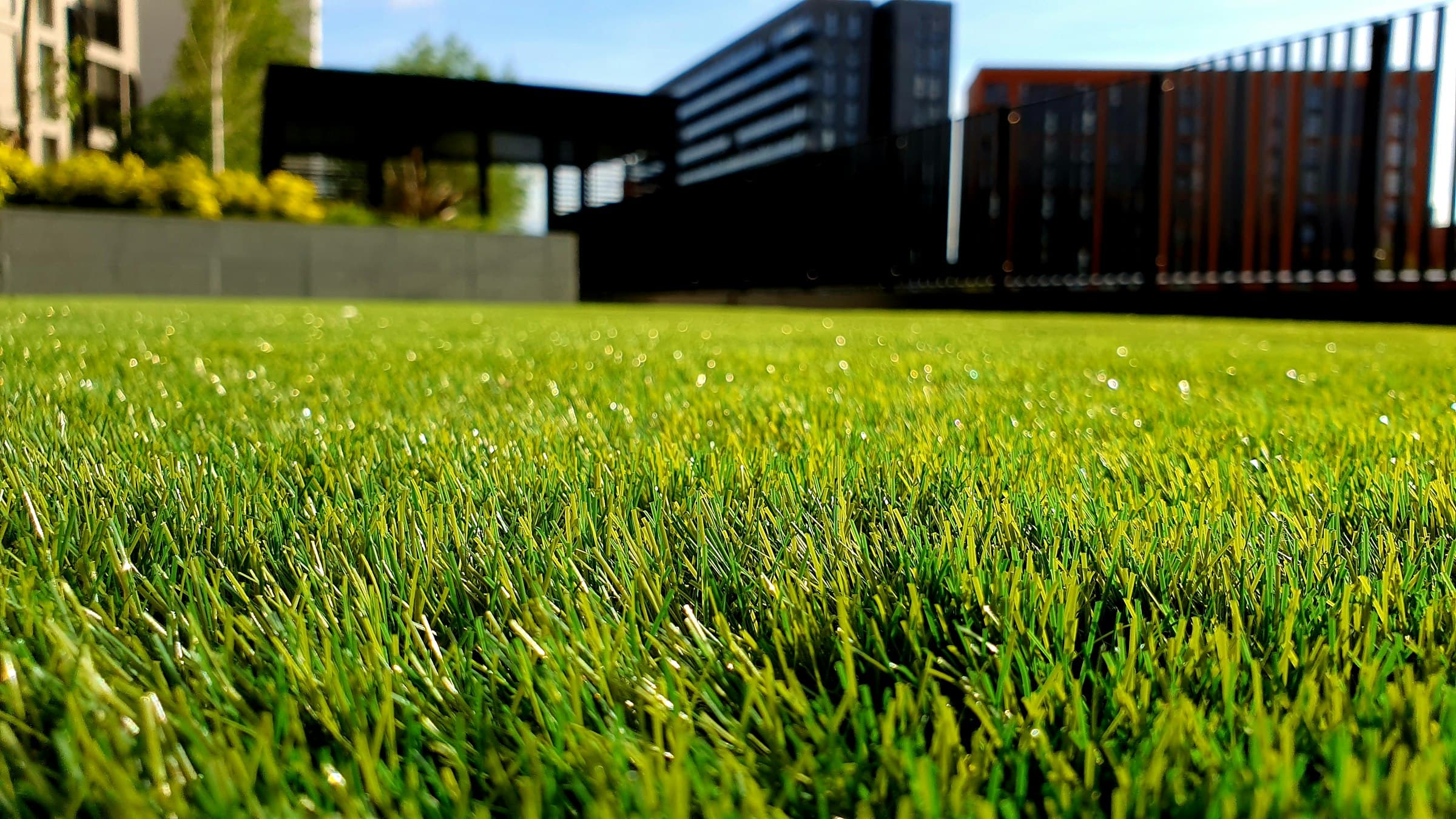 Freshly maintained suburban lawn and planting beds