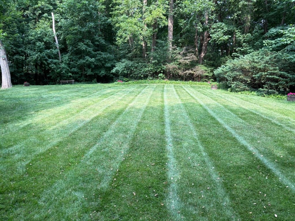 Weekly Lawn Maintenance